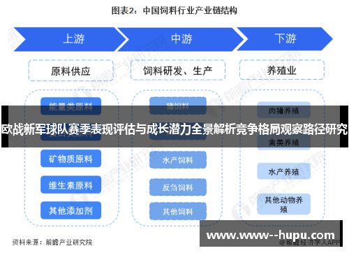 欧战新军球队赛季表现评估与成长潜力全景解析竞争格局观察路径研究