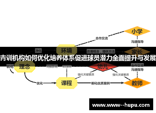青训机构如何优化培养体系促进球员潜力全面提升与发展
